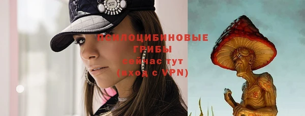 не бодяженный Ладушкин