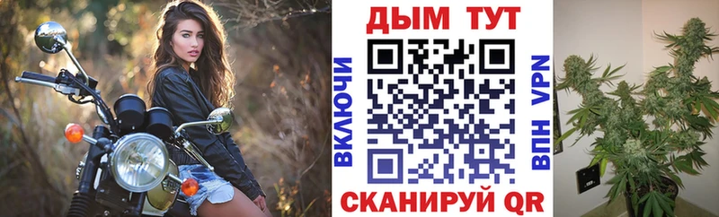 Купить где  Черепаново  Шишки марихуана тримм 